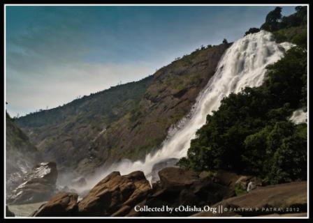 Pic by Partha Pratim Patra