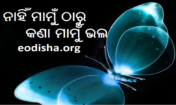 Katha O Natha